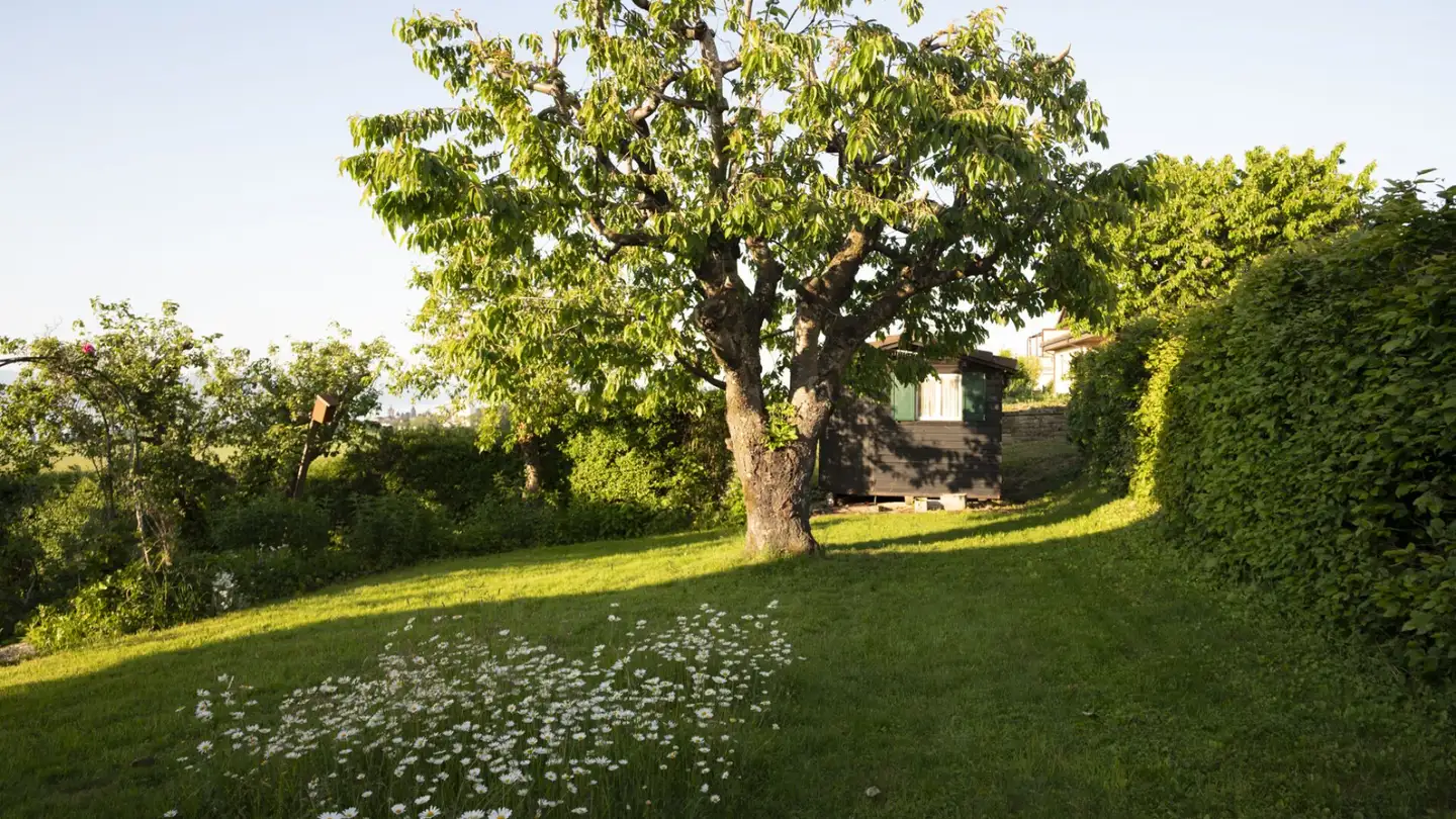 Casa singola in affitto - L'arzillier 25, 1473 Châtillon FR - Foto 4