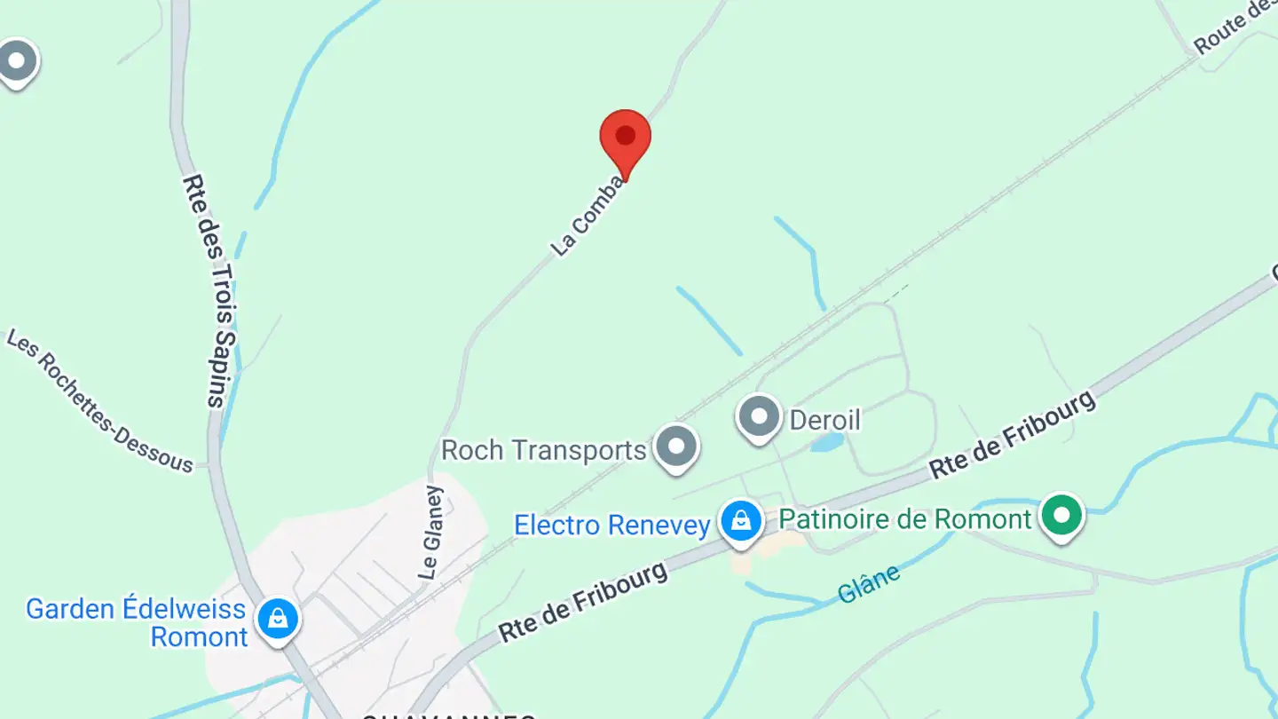 Commerciale in affitto - Route De La Comba, 1680 Romont FR - Photo 4