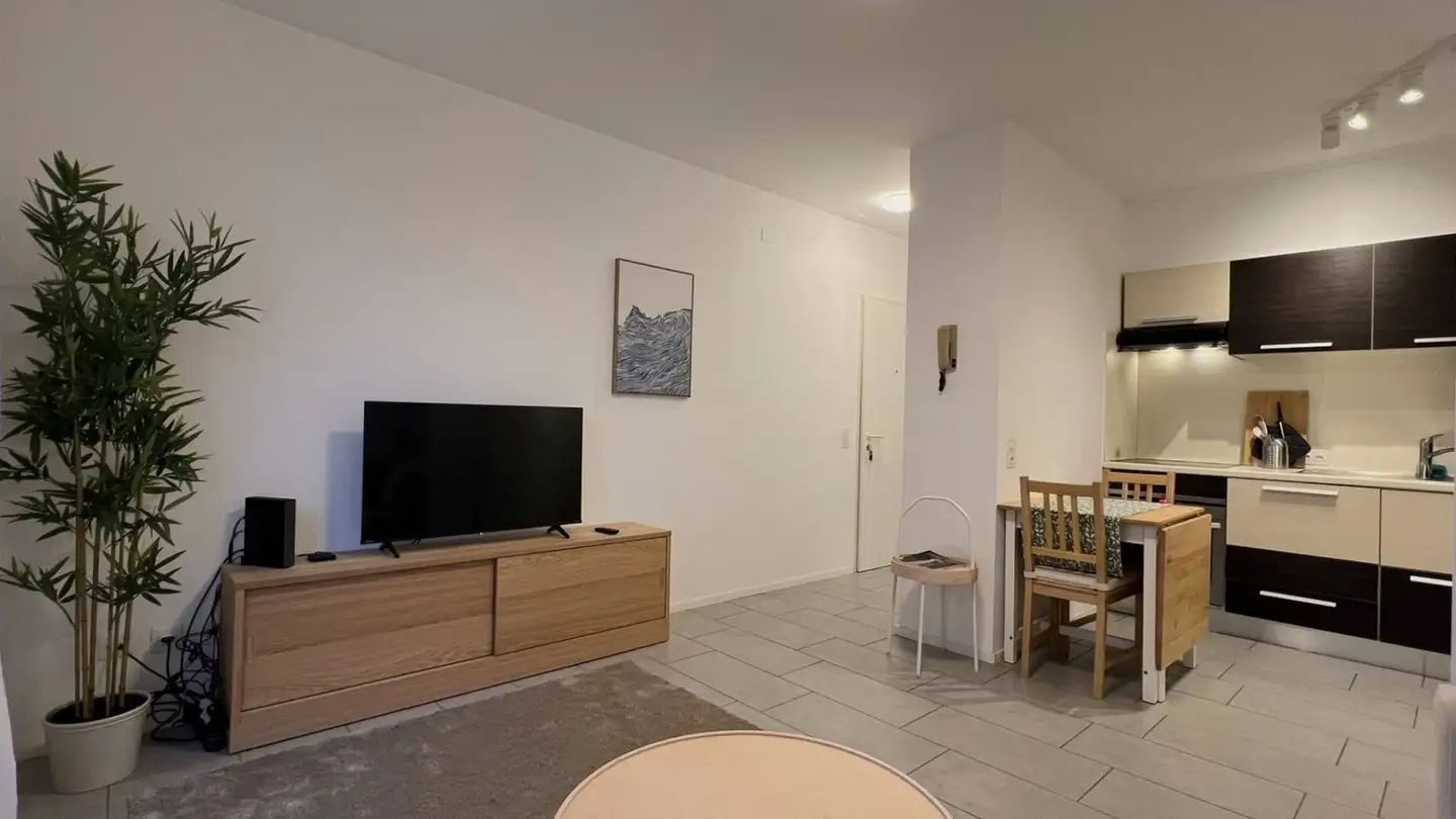 Appartement à louer - Via San Gottardo 95, 6900 Massagno - Photo 4