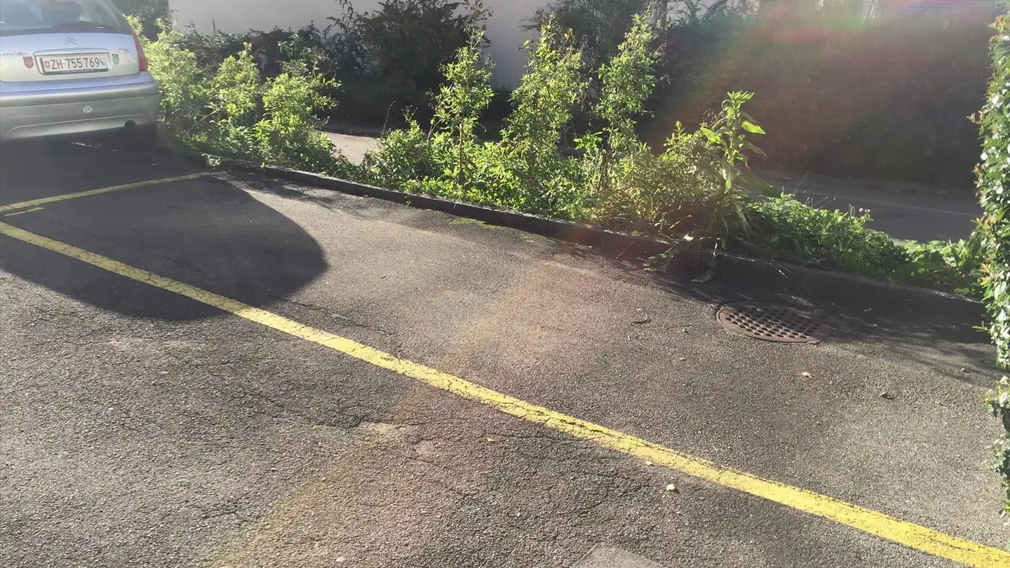 Parcheggio esterno in affitto - Badenerstrasse 367, 8003 Zürich - Photo 4