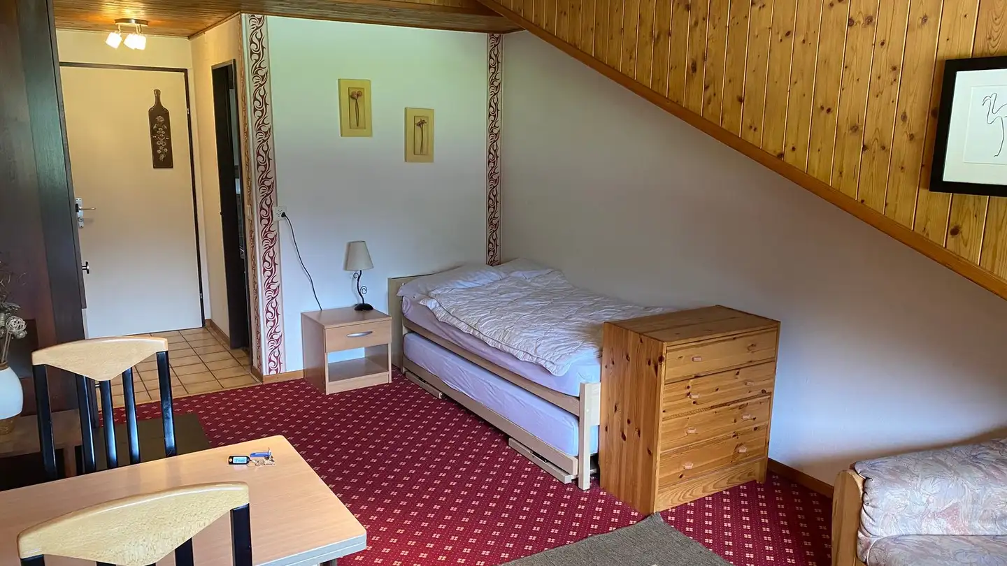 Single house for sale - Route Du Col De La Croix 7, 1865 Les Diablerets - Photo 3