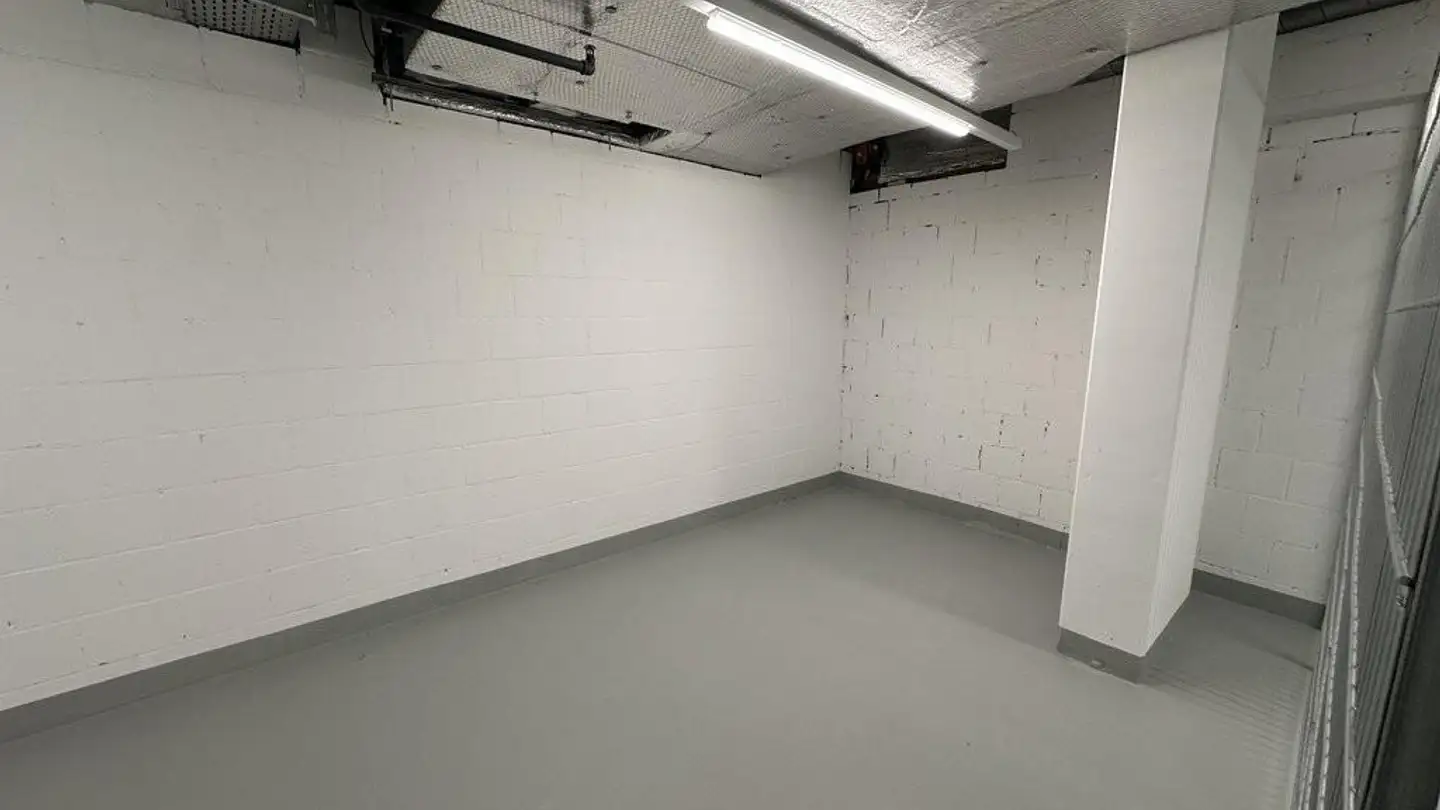 Laboratorio in affitto - Inseliquai 12a, 6005 Luzern - Foto 2