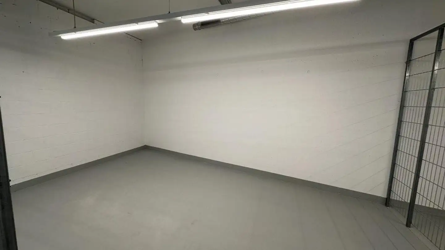 Laboratorio in affitto - Inseliquai 12a, 6005 Luzern - Foto 3