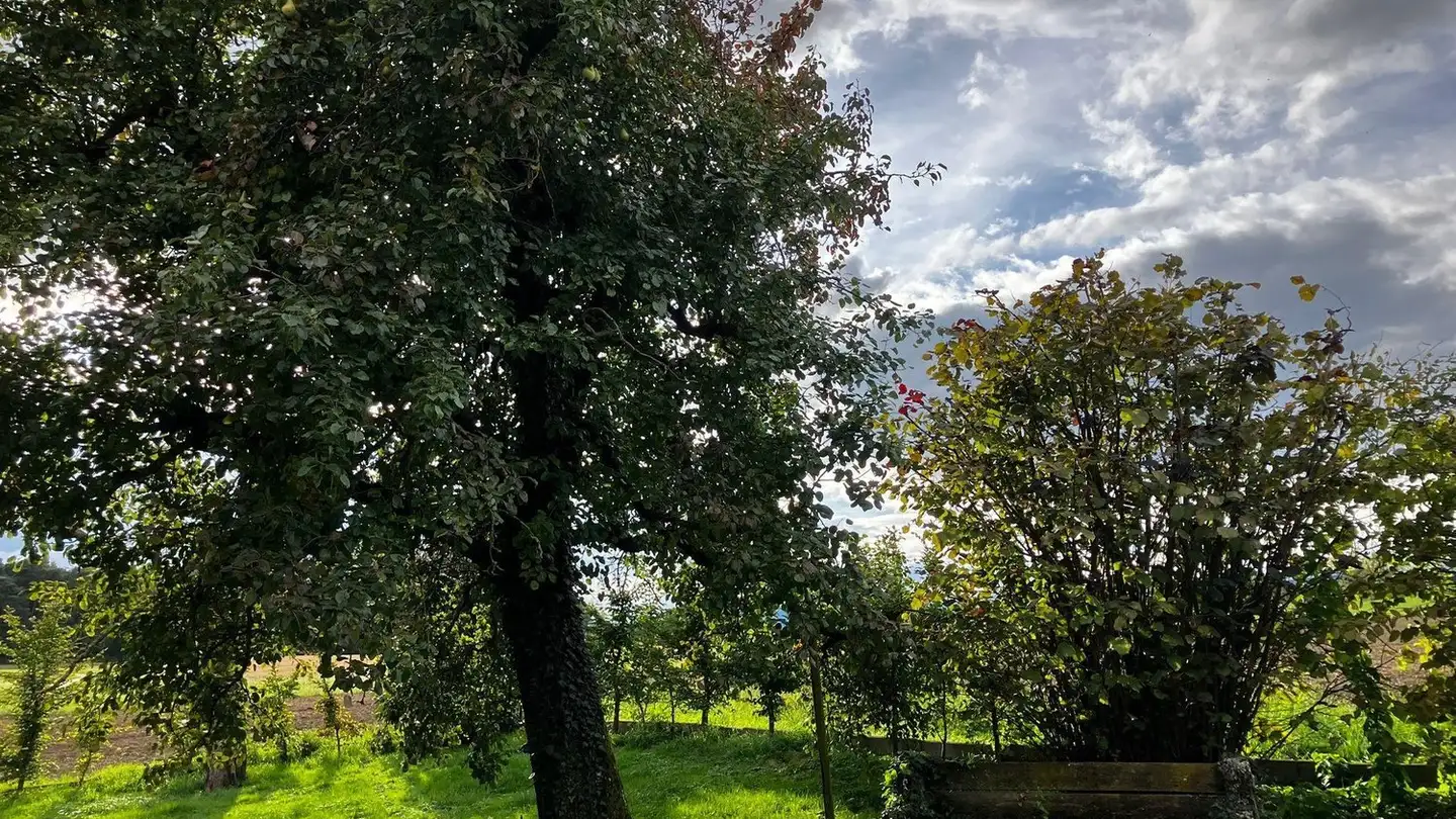 Apartment for rent - 1167 Lussy-sur-Morges