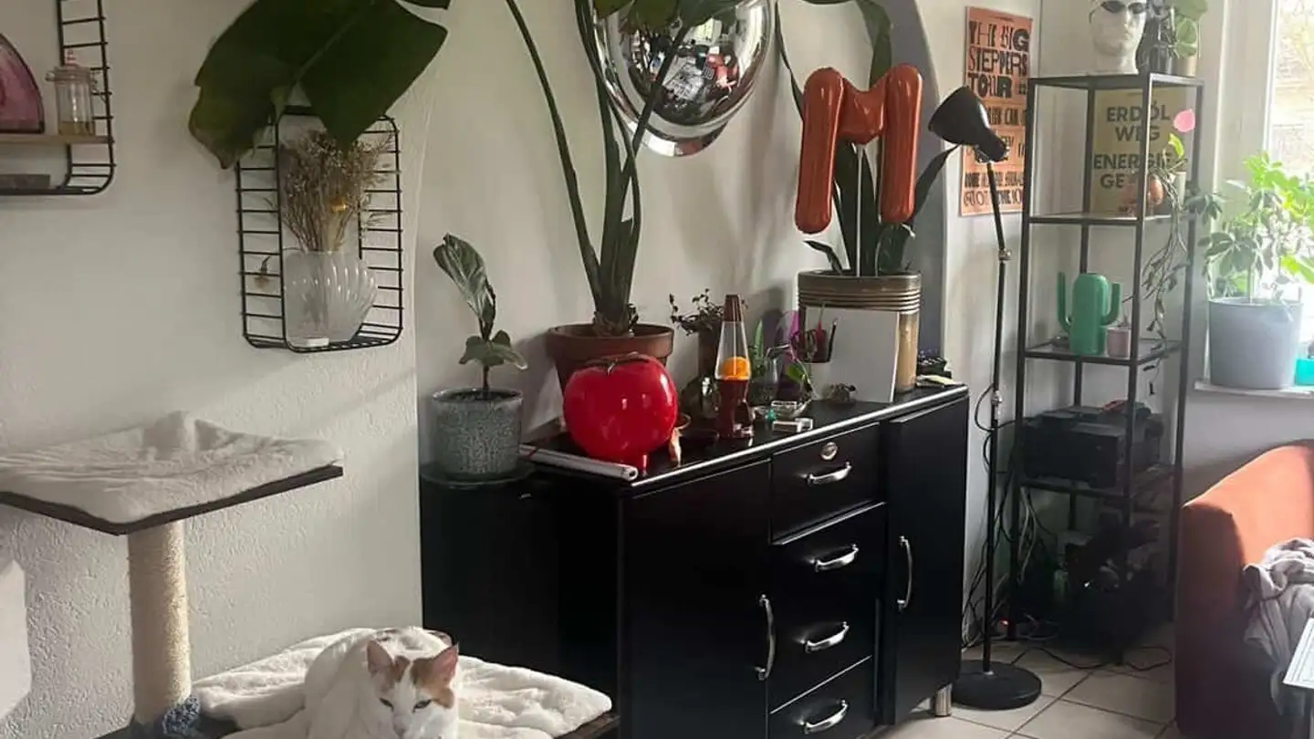 Single room for rent - 8064 Zürich