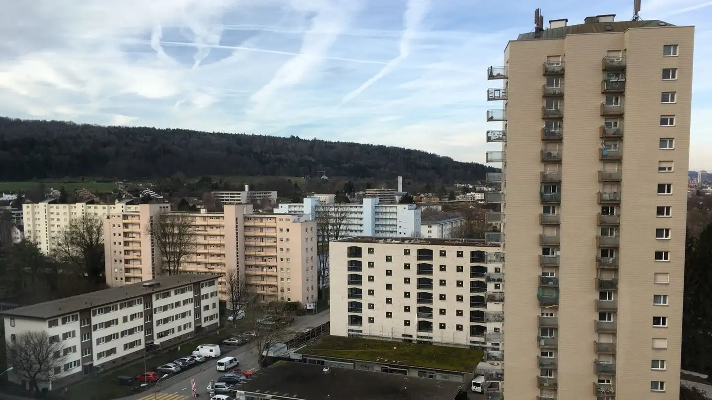 Appartamento in affitto - Grosswiesenstrasse 153, 8051 Zürich
