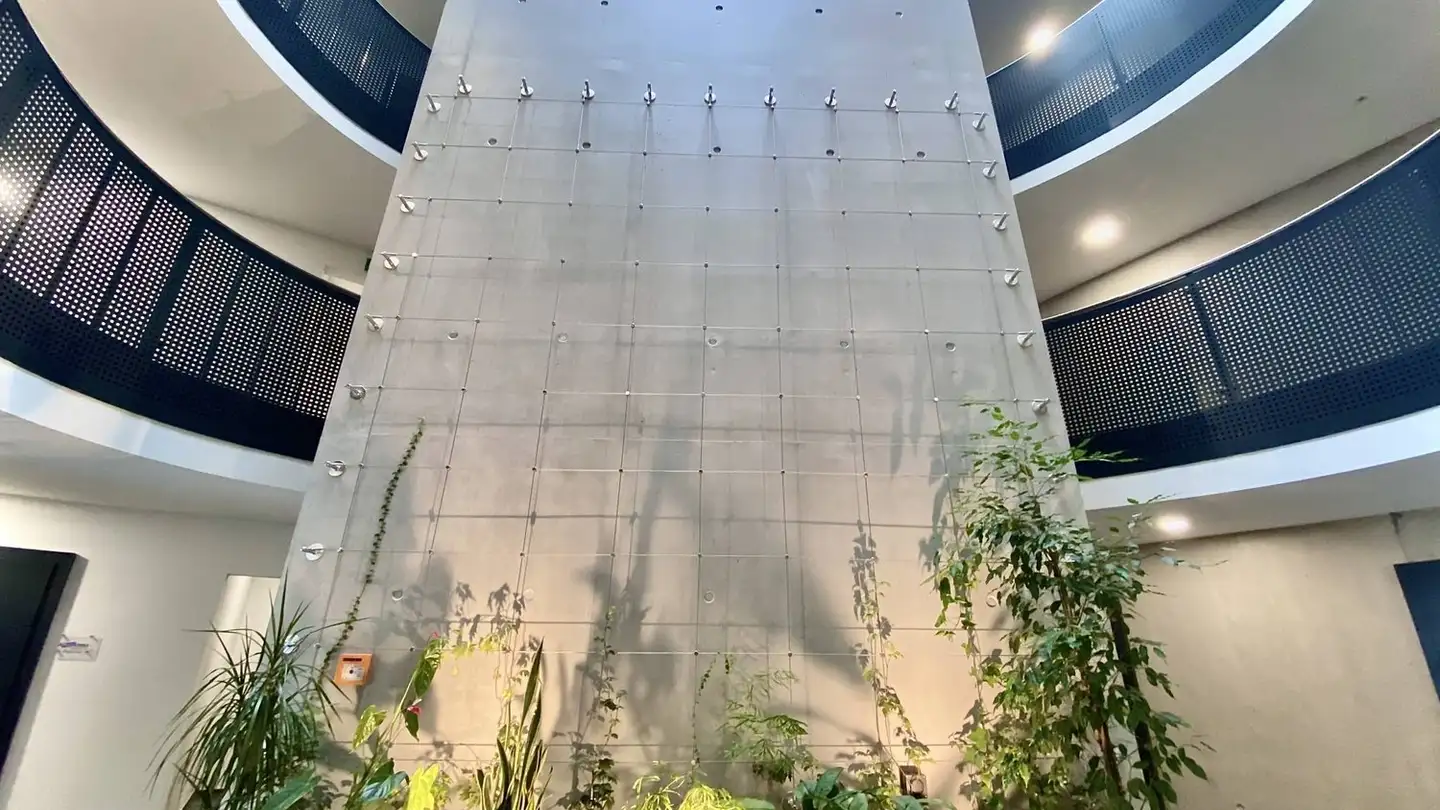 Commercial à louer - 1700 Fribourg - Photo 3