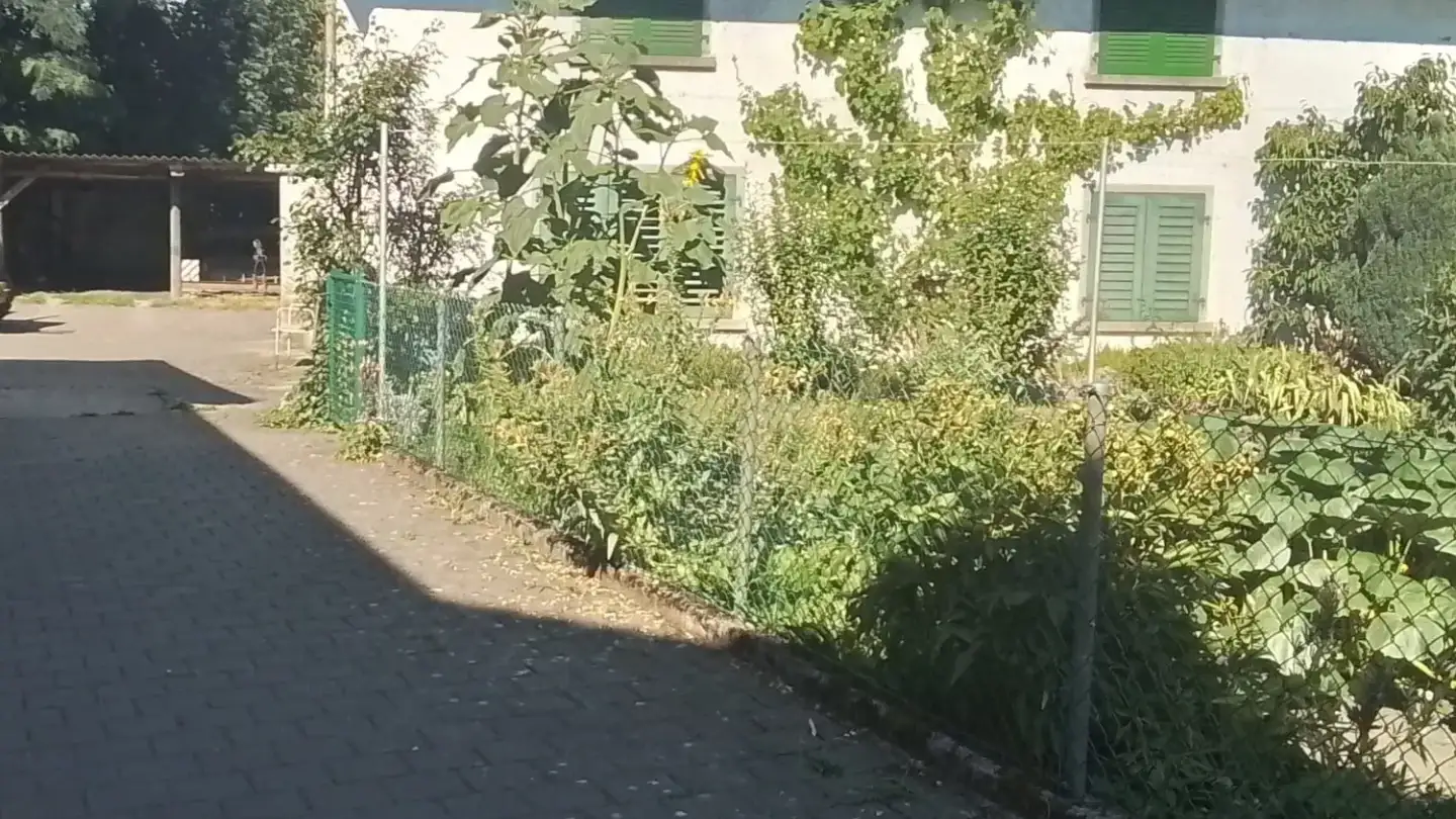 Casa singola in affitto - Steckbornstrasse 42, 8505 Pfyn