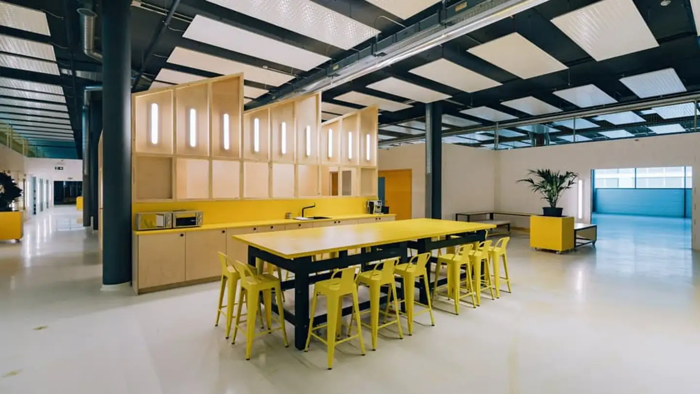 Commercial à louer - Chemin Du Champ-Des-Filles, 1228 Plan-les-Ouates