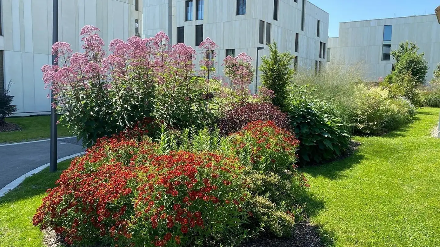 Appartamento in affitto - Mühlegasse 17f, 4800 Zofingen - Foto 2