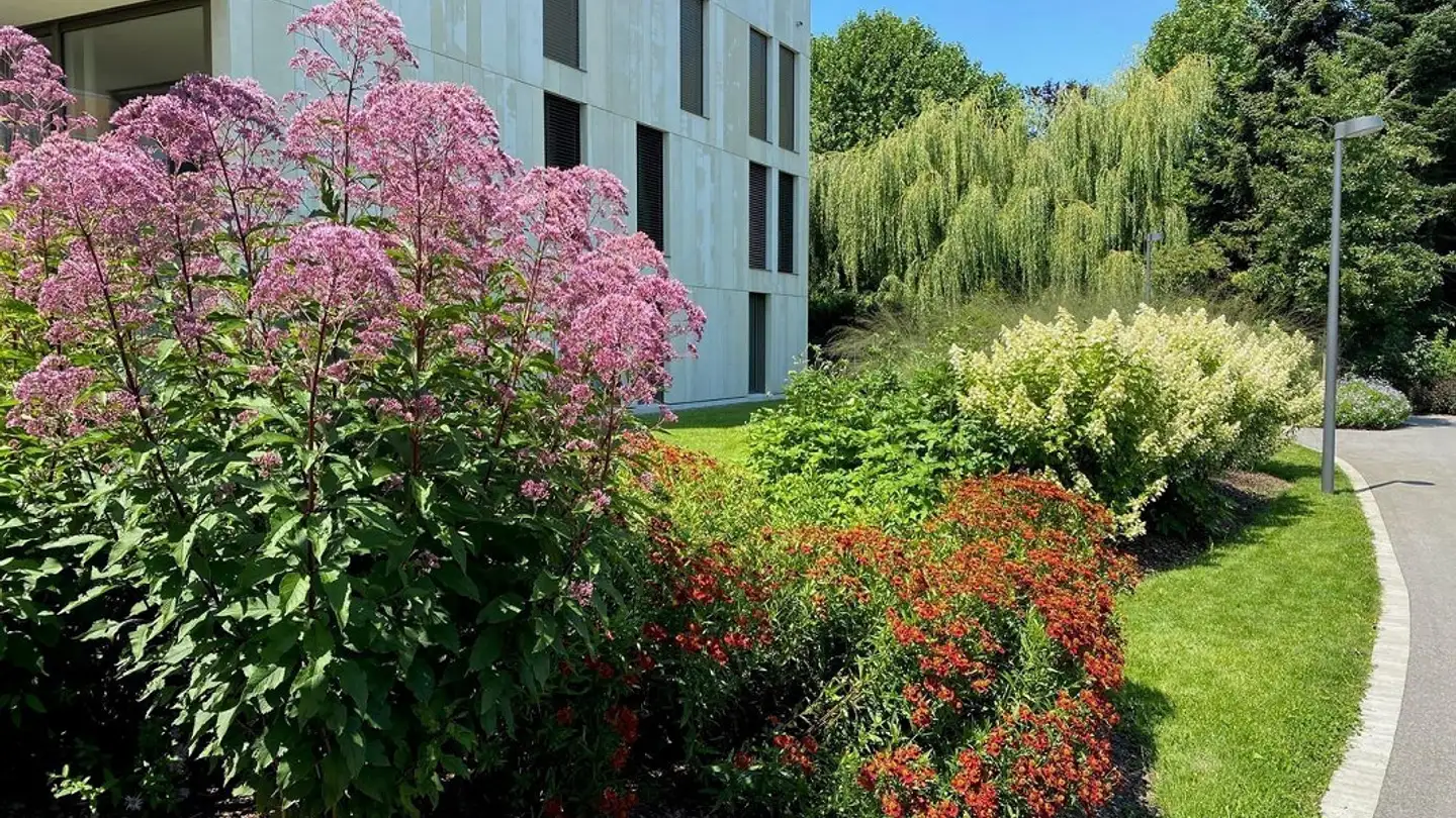 Appartamento in affitto - Mühlegasse 17f, 4800 Zofingen - Foto 3