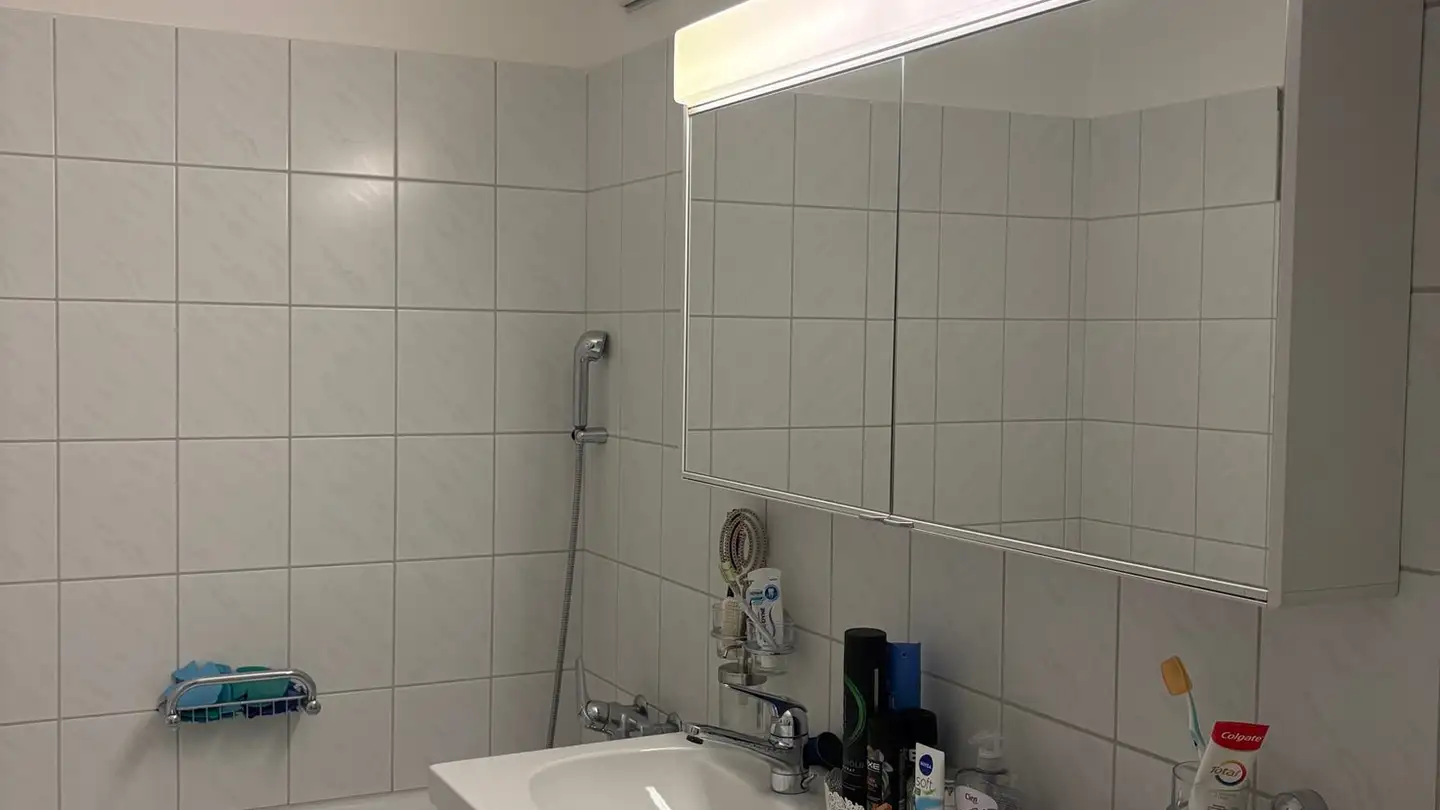 Appartamento in affitto - 8716 Schmerikon - Foto 3