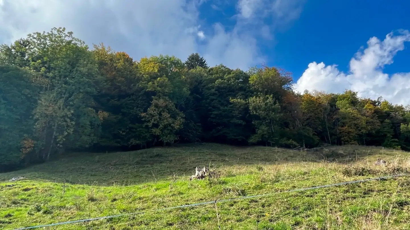 Constructible plot for sale - 1868 Collombey