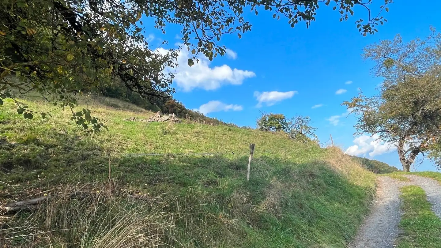 Terrain constructible à vendre - 1868 Collombey - Photo 3