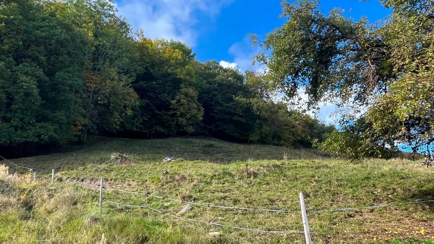 Terrain constructible à vendre - 1868 Collombey - Photo 2