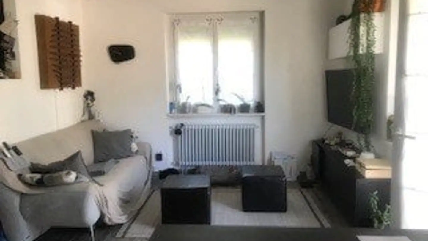 Single house for rent - 6517 Arbedo - Photo 4