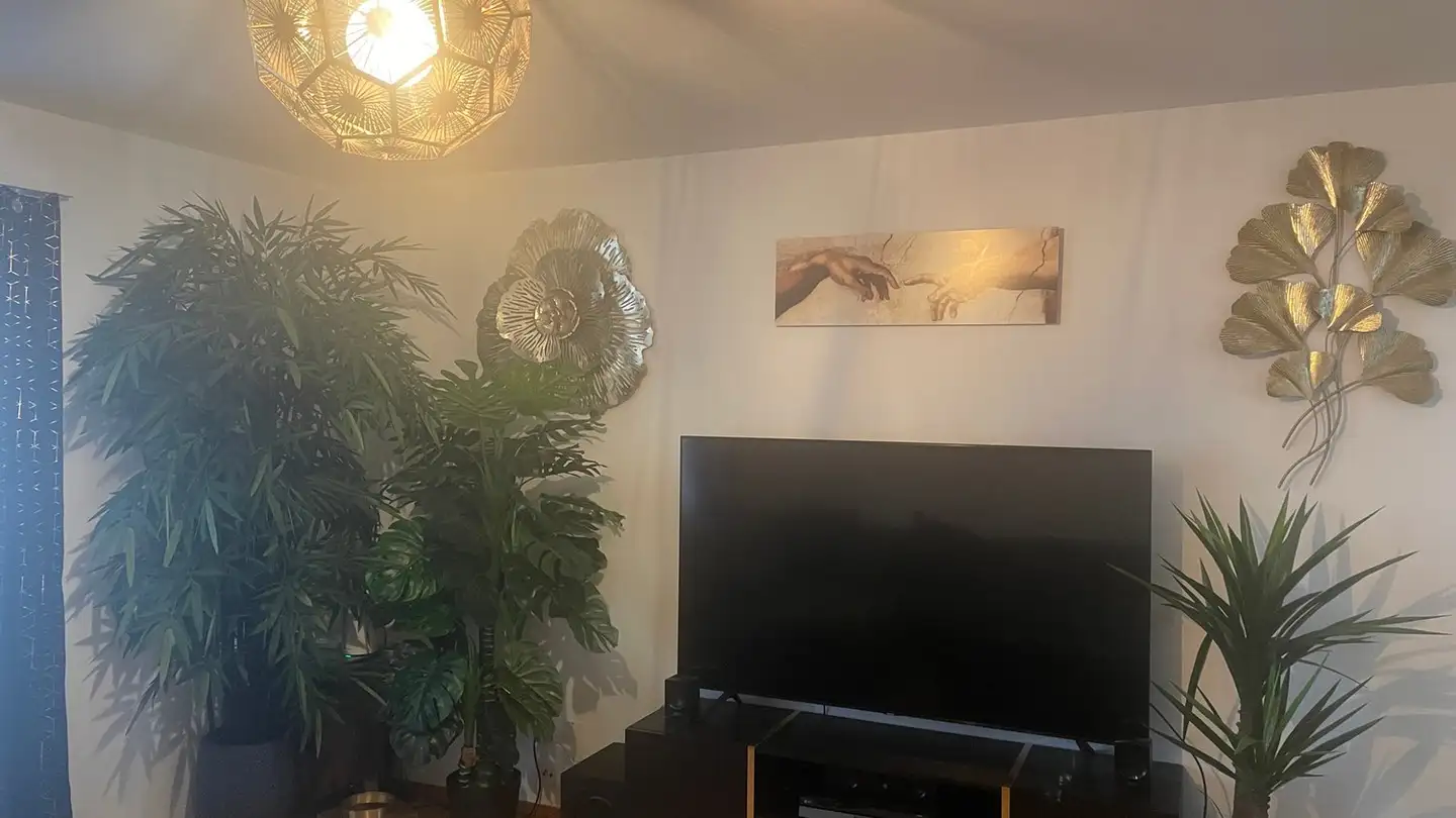 Appartamento in affitto - Mooswiesenweg 19, 8404 Winterthur - Foto 2