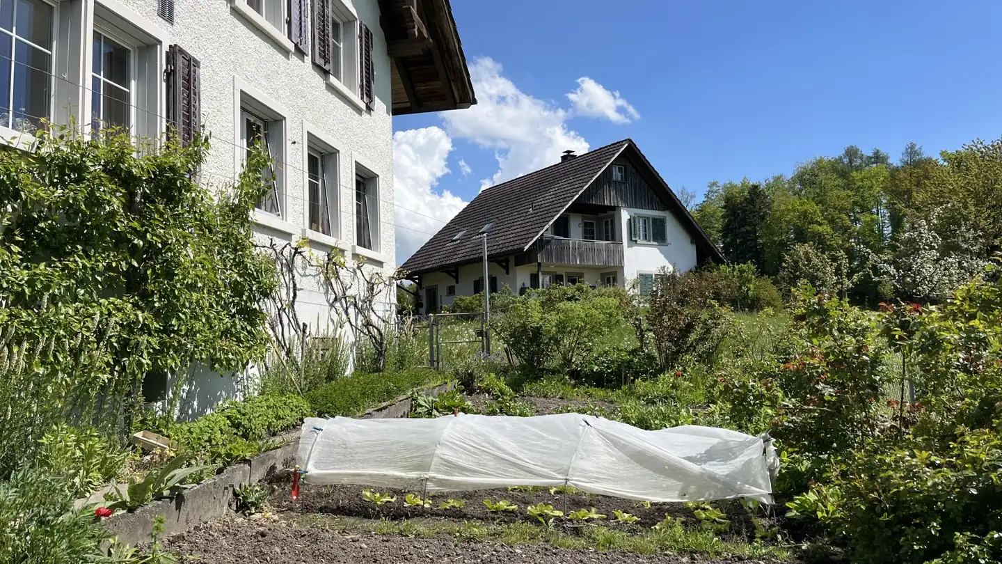 Villa in affitto - Brunnacher, 8627 Grüningen - Photo 3