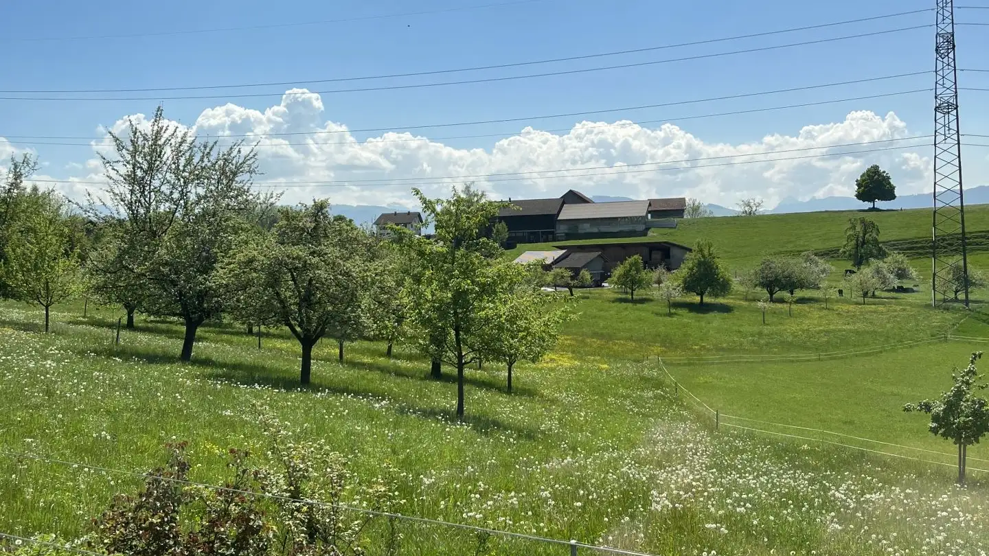 Villa in affitto - Brunnacher, 8627 Grüningen - Photo 4