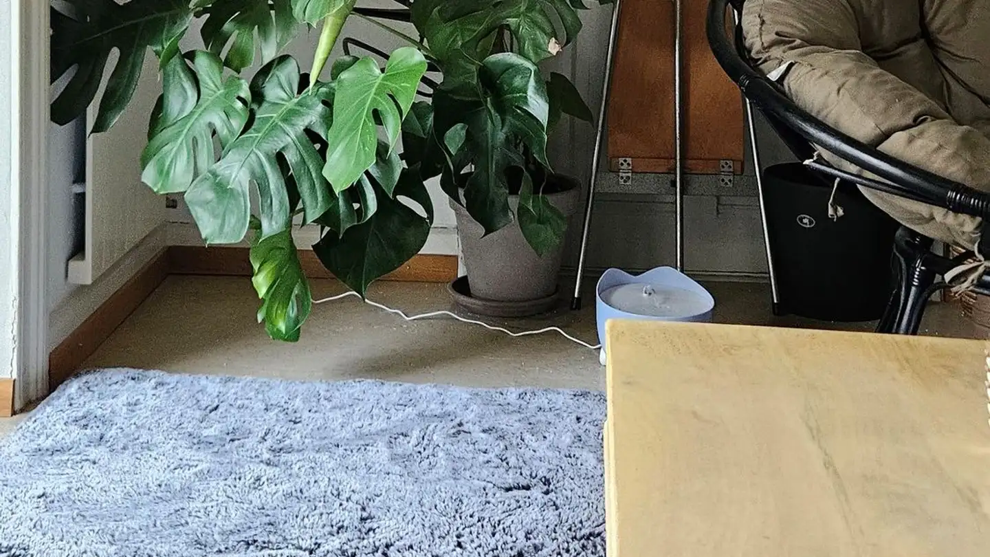 Stanza singola in affitto - Unterlachenstrasse 28, 6005 Luzern - Foto 2
