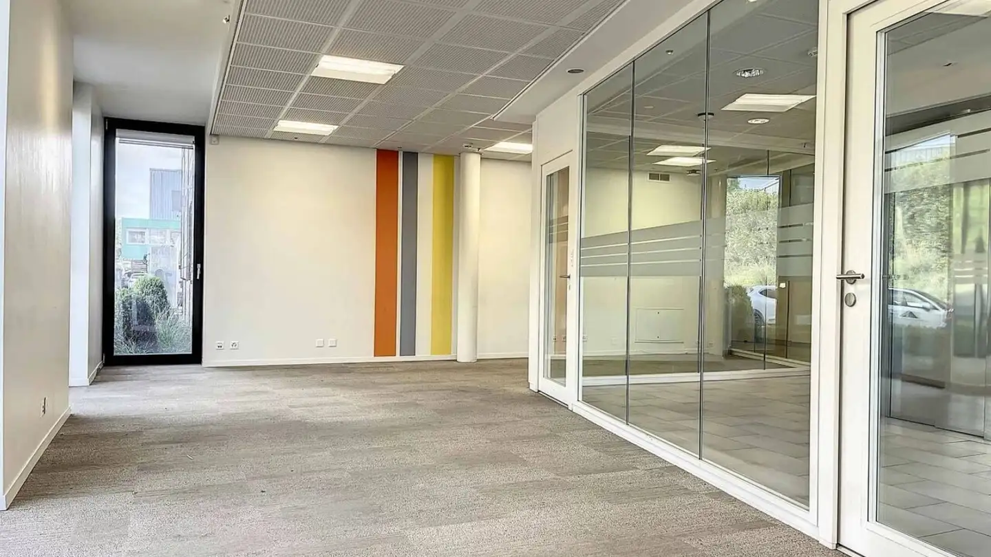 Commerciale in affitto - Route De Divonne 52, 1260 Nyon - Photo 3