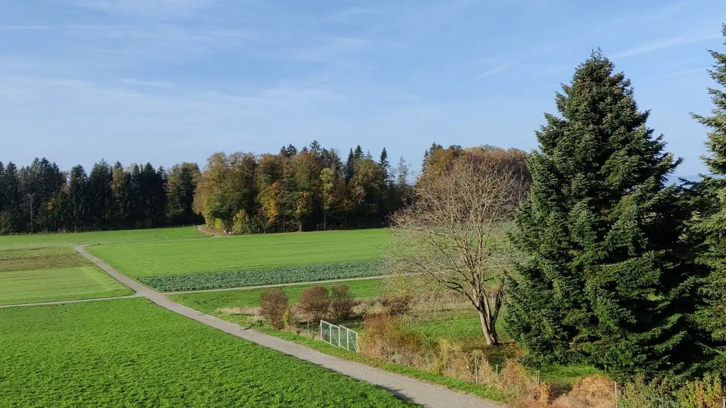 Appartement à louer - Hirschenweg 3, 8966 Oberwil-Lieli - Photo 2