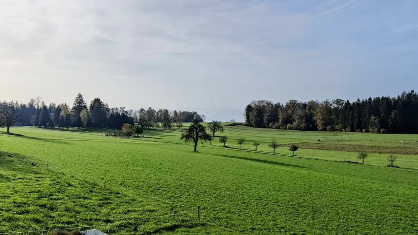 Appartement à louer - Hirschenweg 3, 8966 Oberwil-Lieli - Photo 3