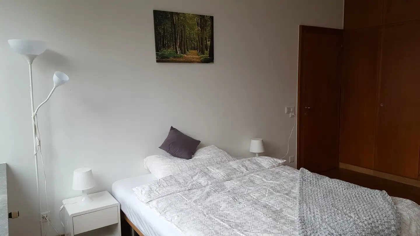 Möblierte Wohnung mieten - Leimenstrasse 30, 4051 Basel