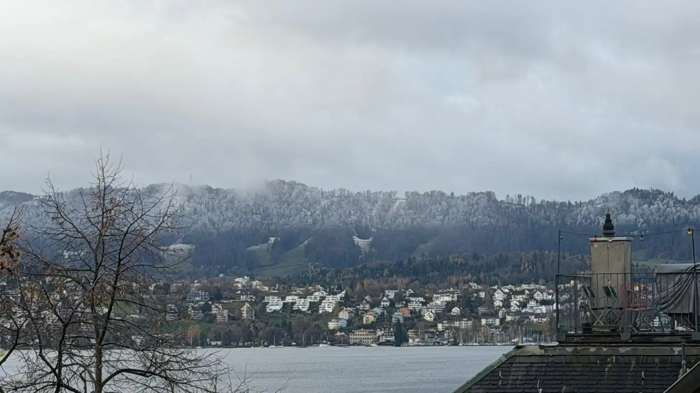 Apartment for rent - 8008 Zürich