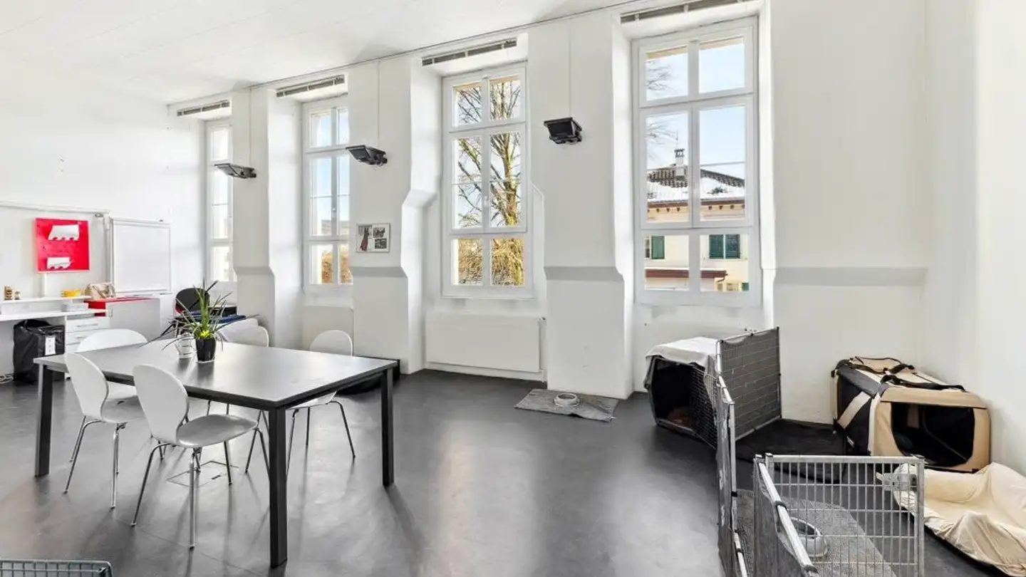 Commerciale in affitto - Alte Affolterstrasse 1, 8909 Zwillikon - Foto 2