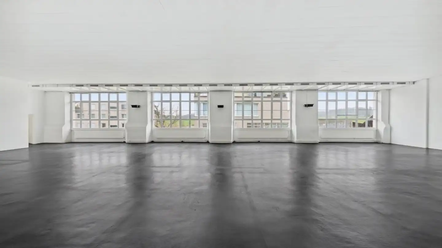 Commerciale in affitto - Alte Affolterstrasse 1, 8909 Zwillikon - Foto 4