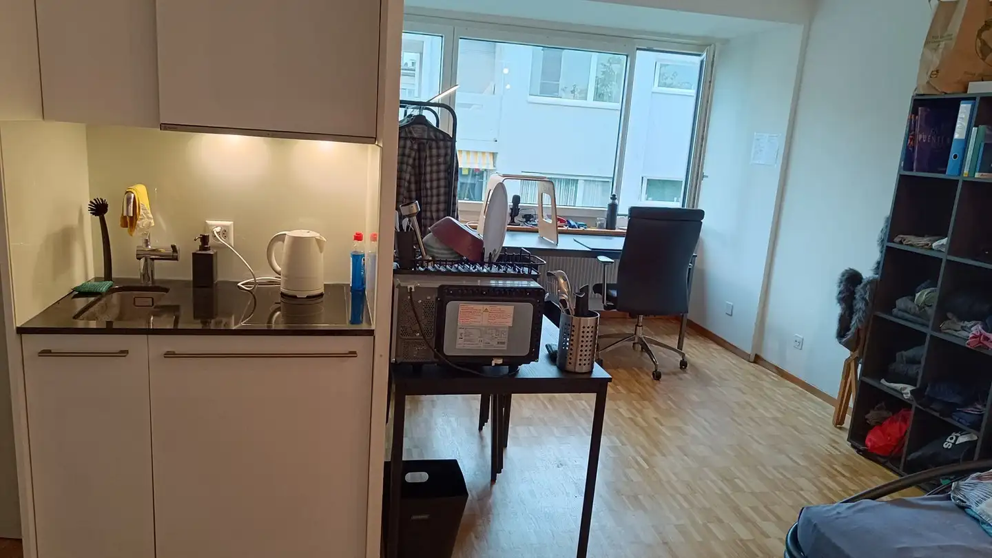 Apartment for rent - Mimosenstrasse 9, 8057 Zürich - Photo 3