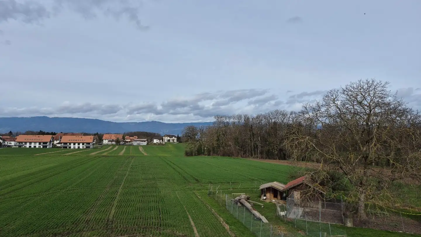 Duplex in affitto - Les Chandines 7, 1567 Delley - Foto 4