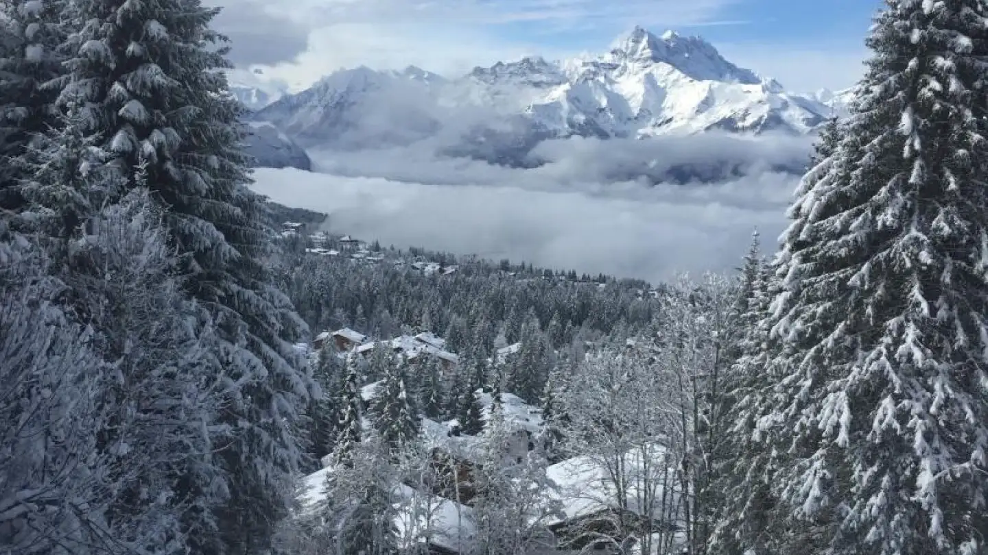 Single house for sale - 1884 Villars-sur-Ollon - Photo 3