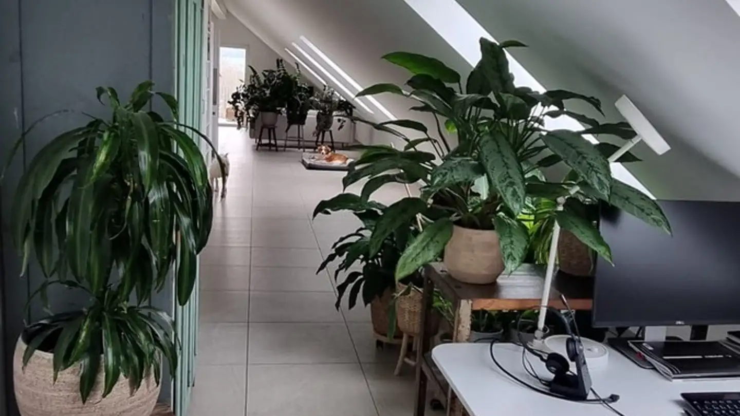 Appartamento in affitto - Muristrasse 28, 8913 Ottenbach - Foto 2