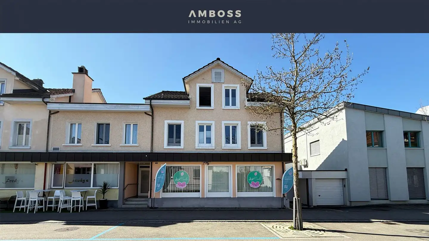 Maison individuelle à vendre - Freiestrasse 15, 8580 Amriswil