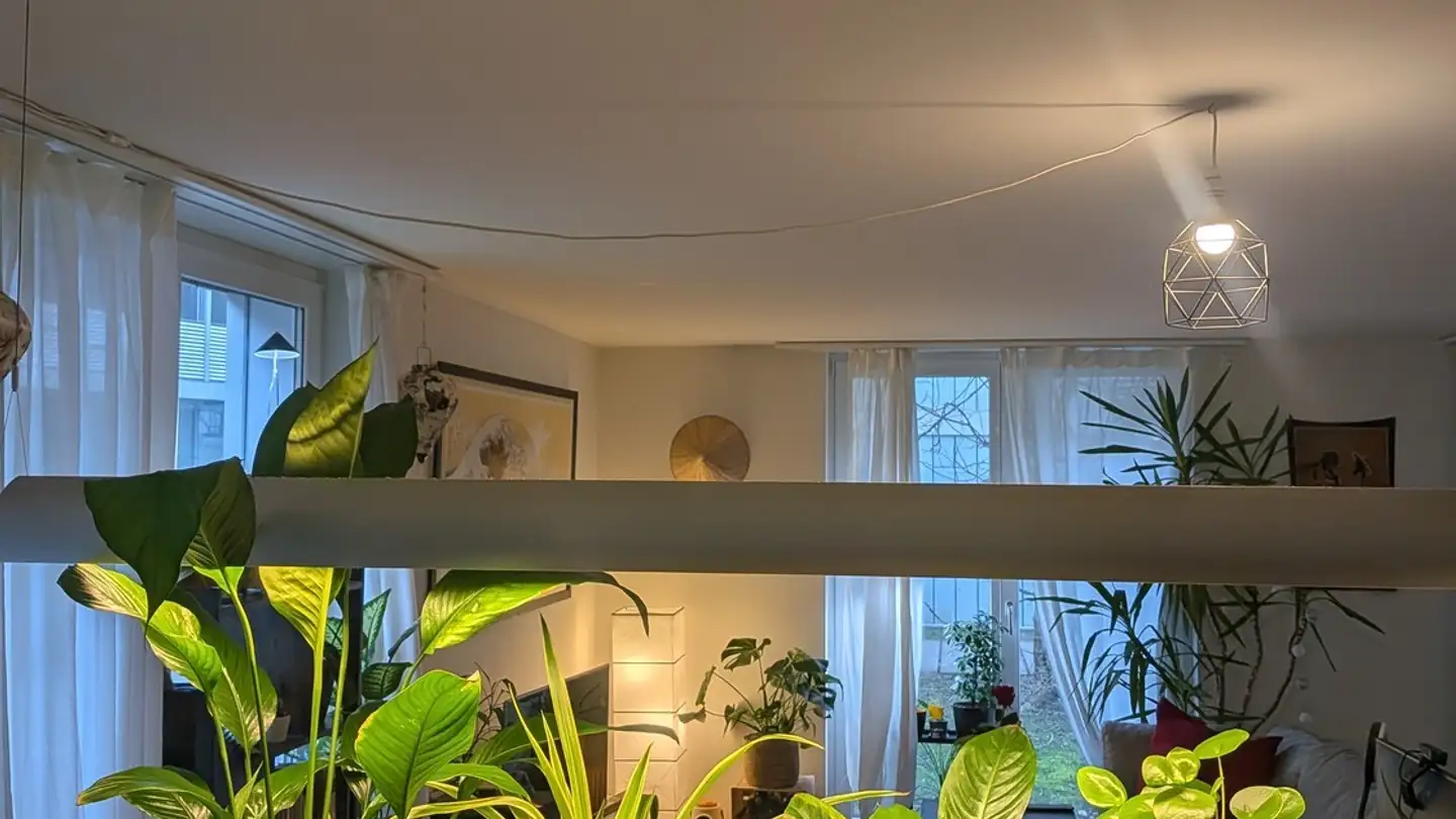 Appartement à louer - 8057 Zürich - Photo 3