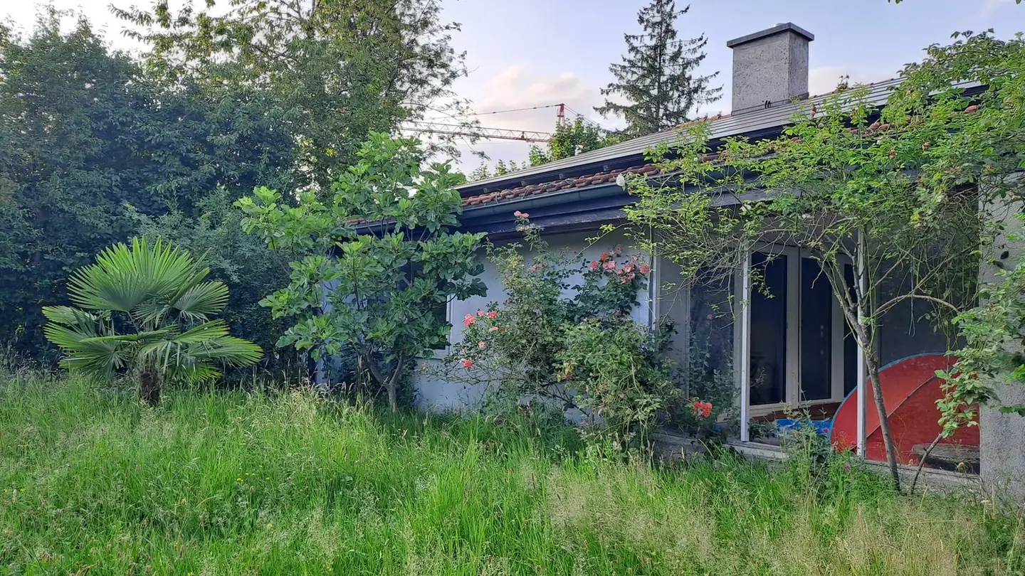 Stanza singola in affitto - 8142 Uitikon Waldegg - Photo 3