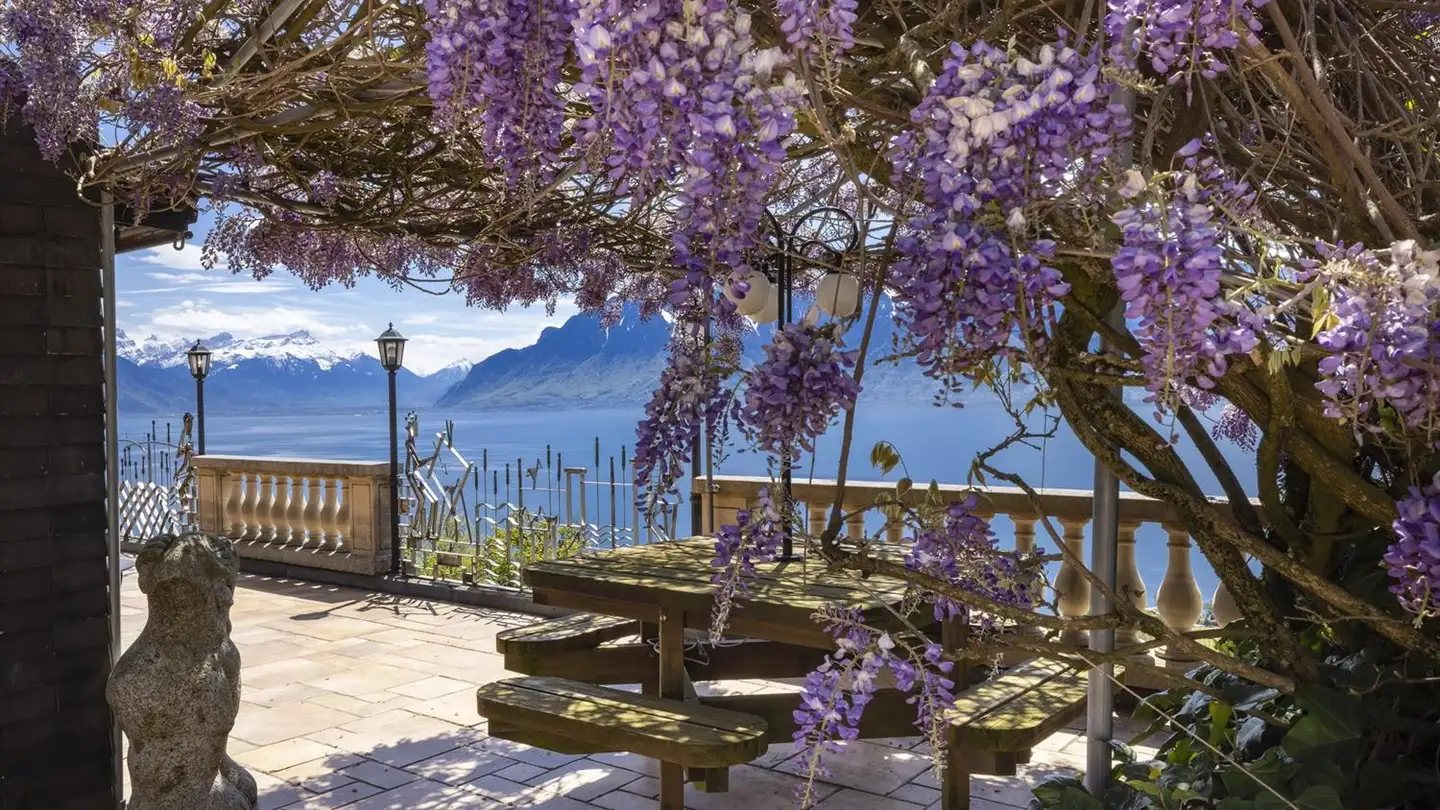 Maison individuelle à vendre - 1071 Chexbres - Photo 4