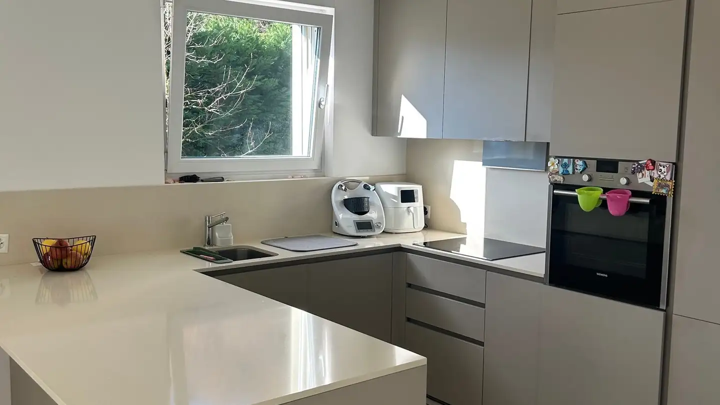 Wohnung mieten - Via San Pietro Pambio, 6900 Paradiso