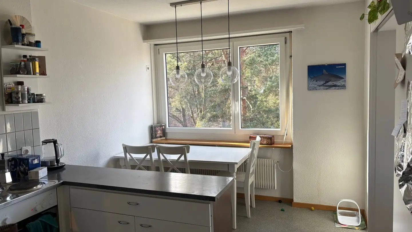 Furnished apartment for rent - 8048 Zürich - Photo 3