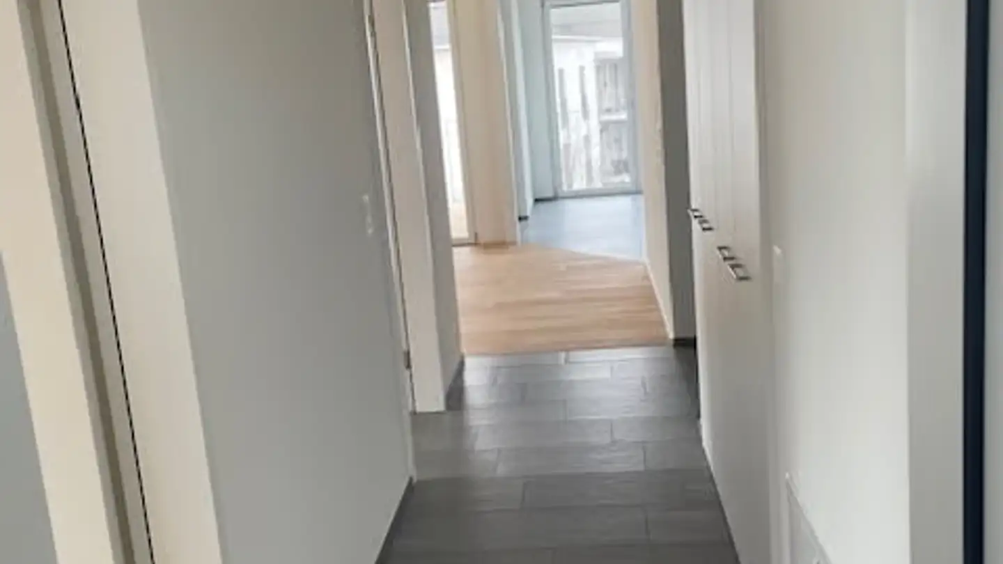 Apartment for rent - Freihofstrasse 10, 8240 Thayngen - Photo 4