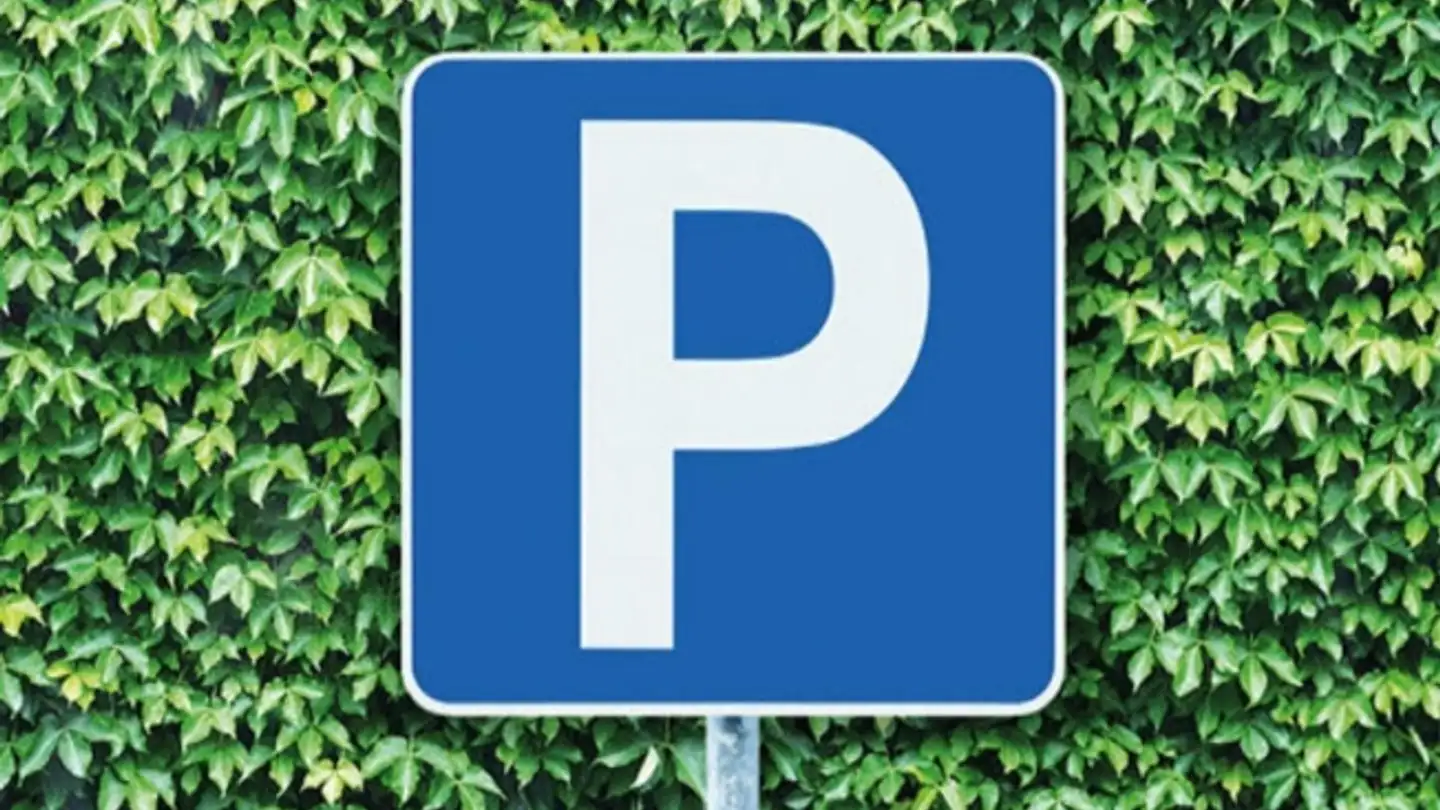 Place de parking extérieure à louer - 8045 Zürich