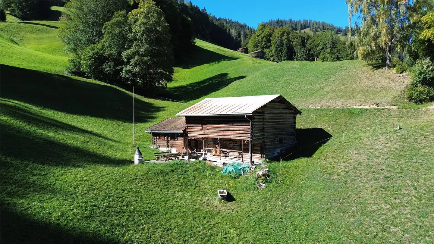 Farm for sale - Mittlerer Prafiebweg 41, 7233 Jenaz