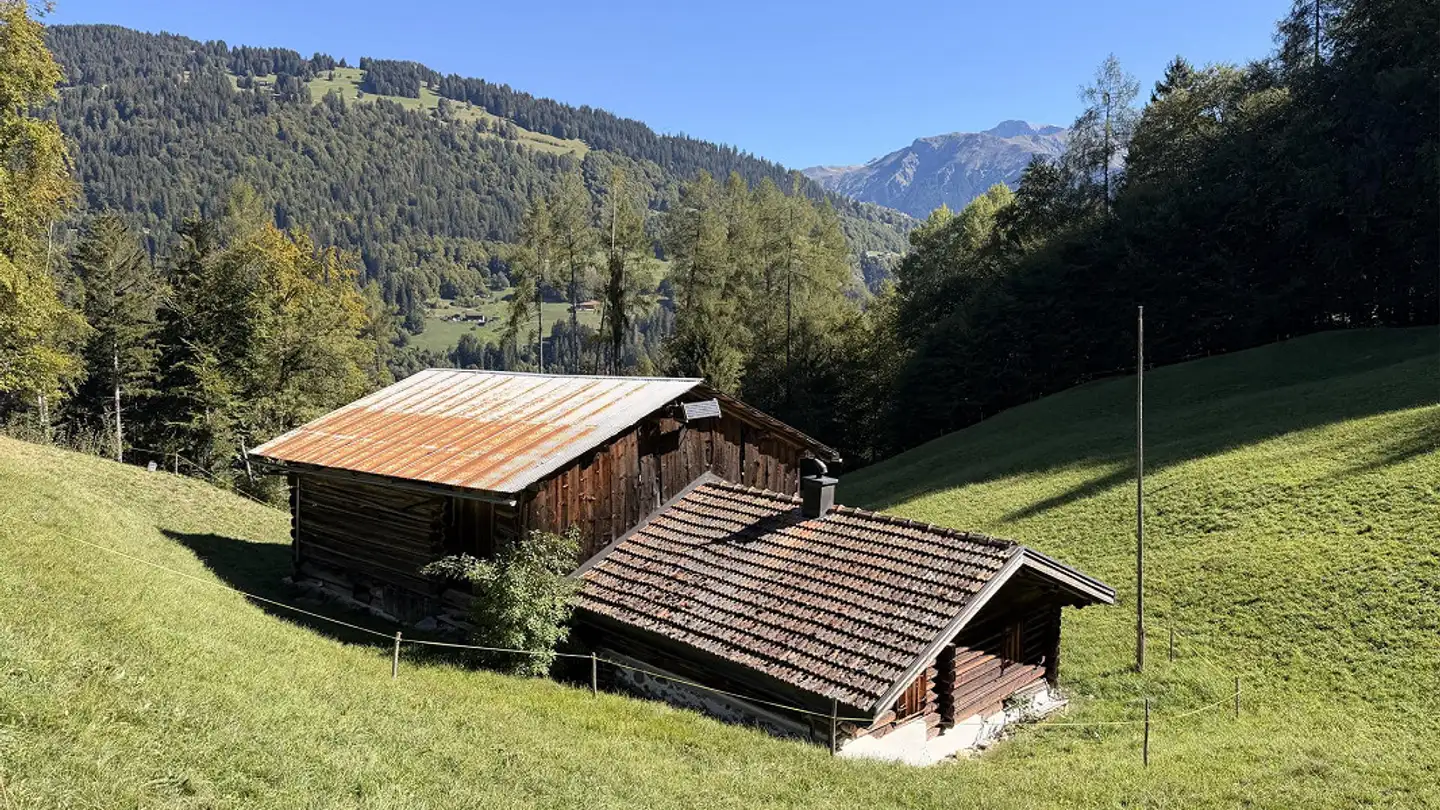 Ferme à vendre - Mittlerer Prafiebweg 41, 7233 Jenaz - Photo 2