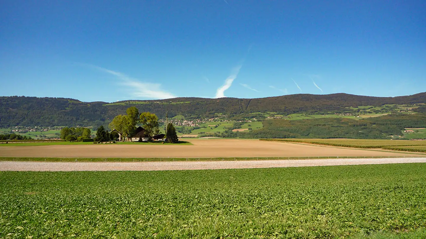 Single house for sale - 1422 Grandson - Photo 2