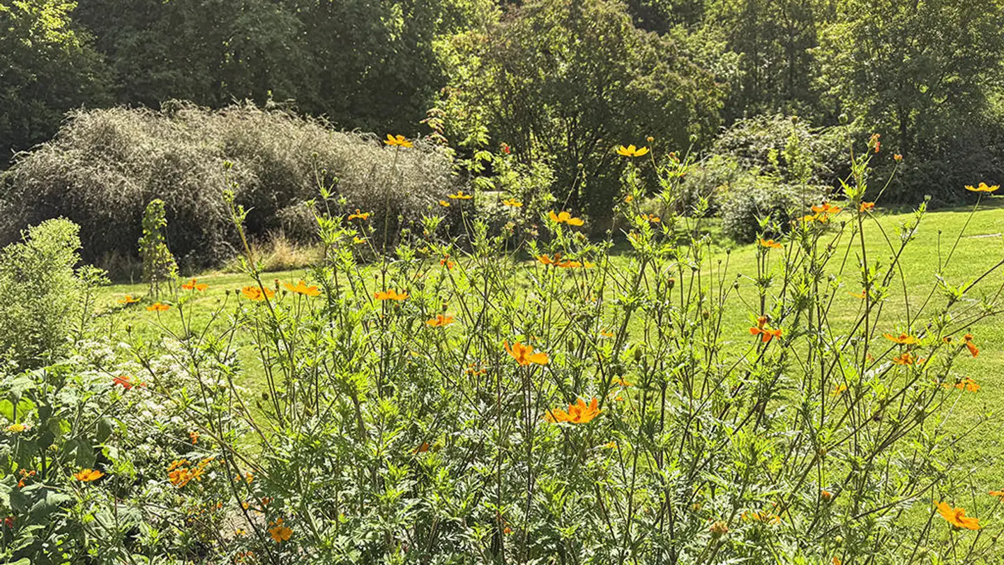 Einfamilienhaus kaufen - 1145 Bière