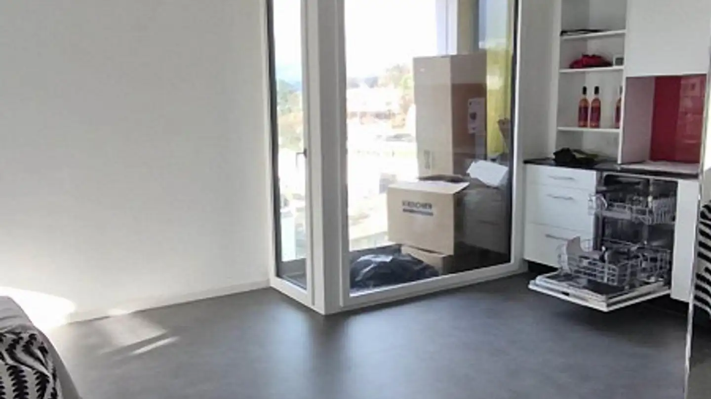 Appartement à louer - Neunbrunnenstrasse 52, 8050 Zürich - Photo 3