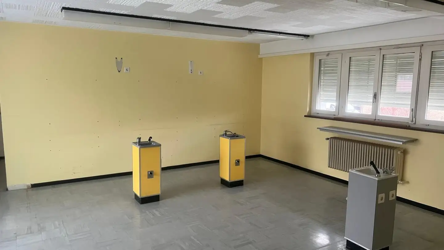 Commercial for rent - 4226 Breitenbach - Photo 4