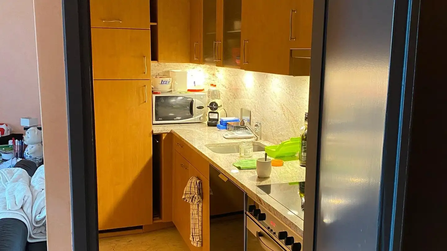 Wohnung mieten - Strada Di Gandria 28, 6976 Castagnola - Foto 3